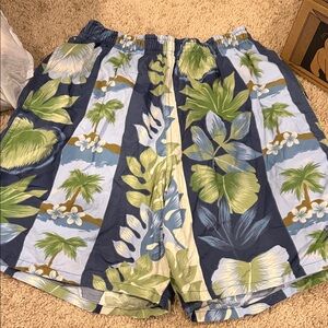 Speedo Blue and Green Swim Shorts